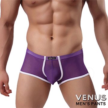 VENUS 撞色款 性感情趣 網紗平角 四角褲 紫