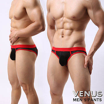 VENUS 網紗 條紋 性感情趣半透明露屁屁 男士三角內褲 黑